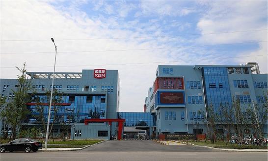 技術服務,技術開發,技術咨詢,技術交流,技術轉讓,技術推廣;食品進出口